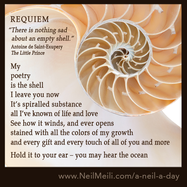 Requiem – Neil Meili