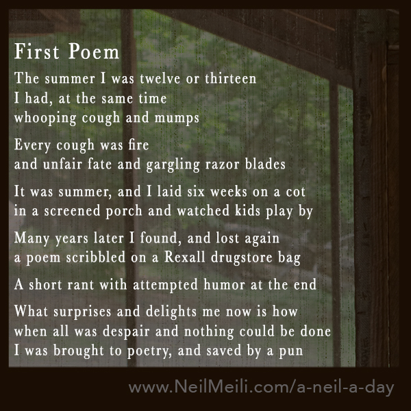 First Poem Neil Meili